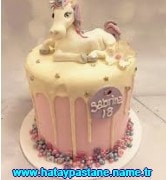Hatay Şeffaf doğum günü yaş pastası